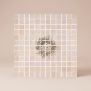 Nacré Beige